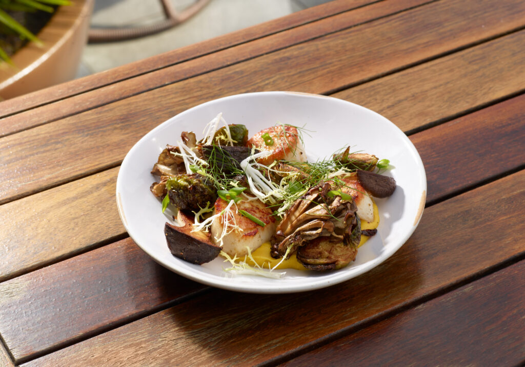 Seared Scallops